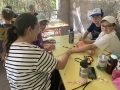 IMG_0186