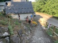 IMG_6903