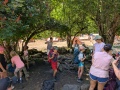 PXL_20260708_080111383.MP_