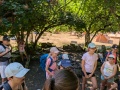 PXL_20260708_080245345