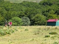 PXL_20260708_094551808